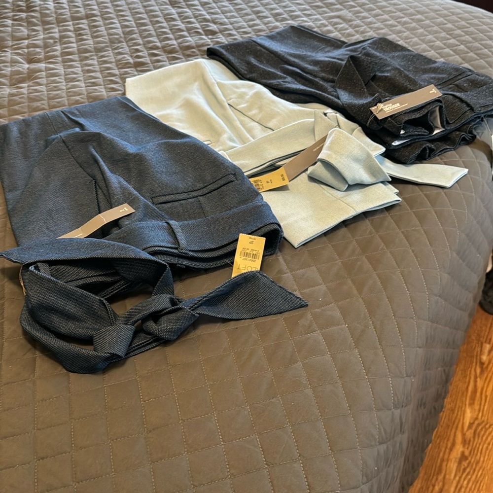 Loft Dress Pants.